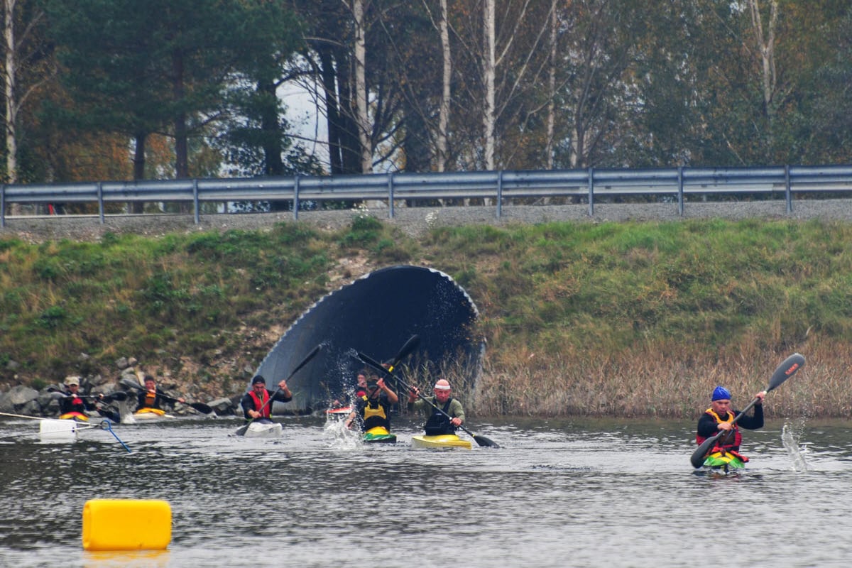 Dalsland kanottävling