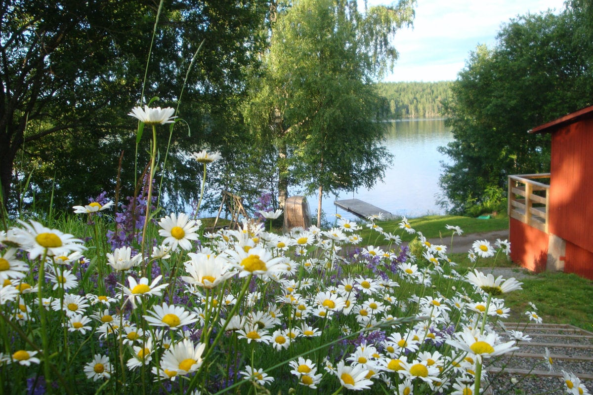 The Lodge i Dalsland